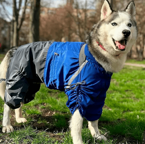 Full Body Raincoat