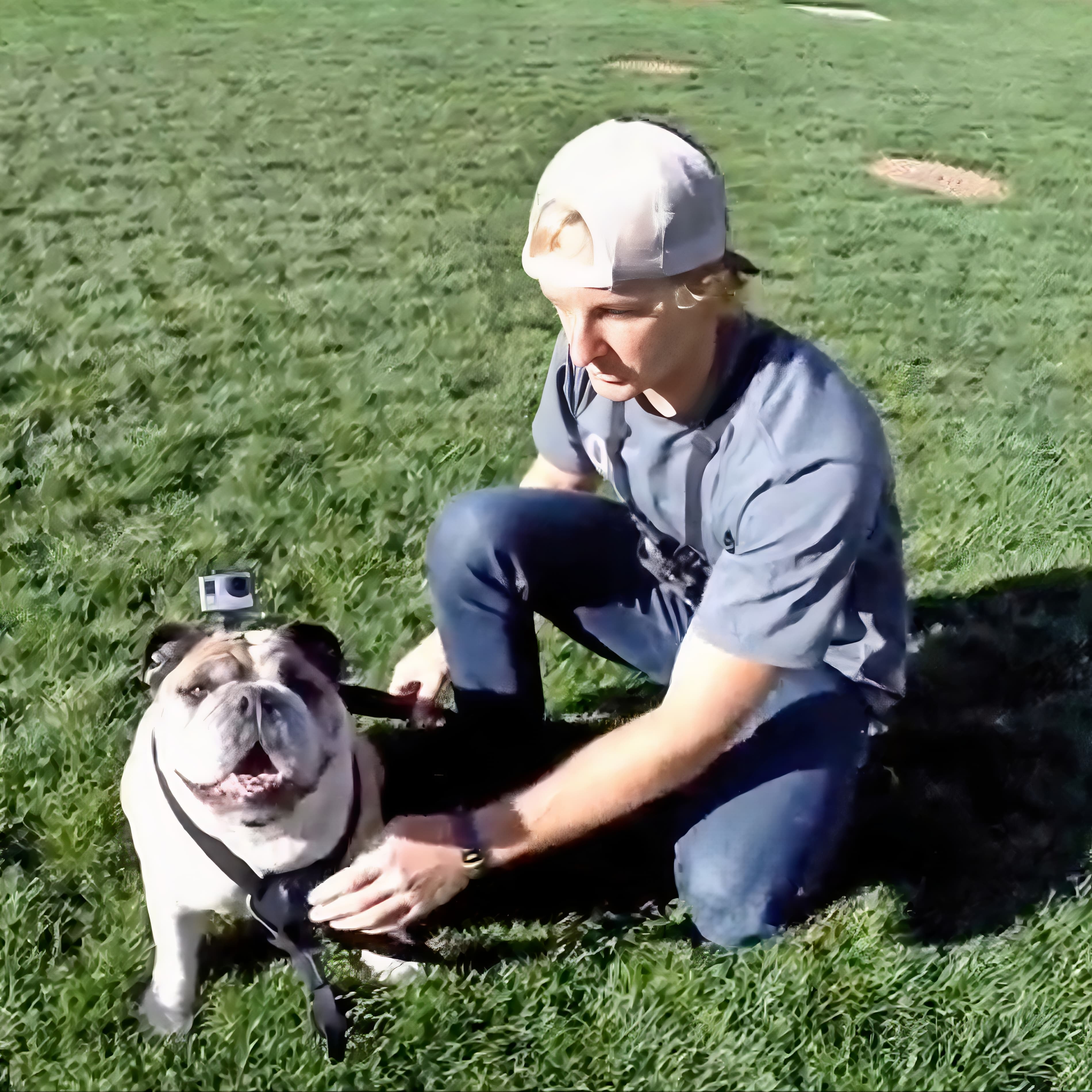 GoPro Fetch Dog Harness