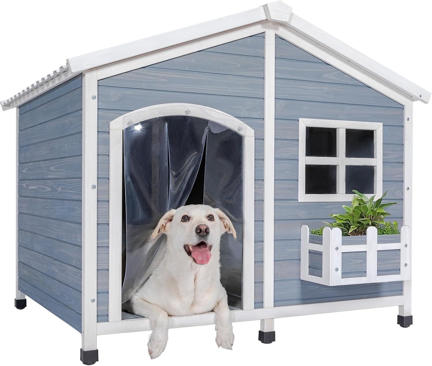 Two Dogs, a Flower Box, Zero Regrets