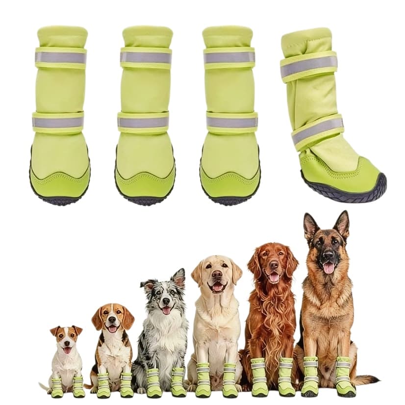 Dog Boots That Actually Stay On